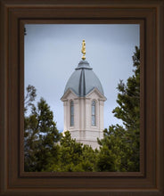 Load image into Gallery viewer, Cedar City Detail

