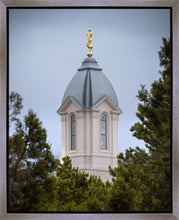 Load image into Gallery viewer, Cedar City Detail Gallery Wrap
