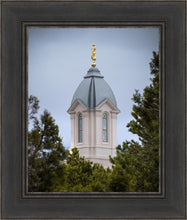 Load image into Gallery viewer, Cedar City Detail

