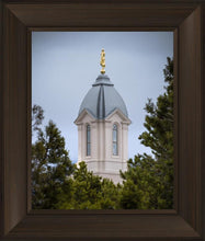 Load image into Gallery viewer, Cedar City Detail
