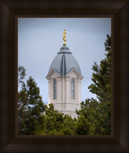 Load image into Gallery viewer, Cedar City Detail
