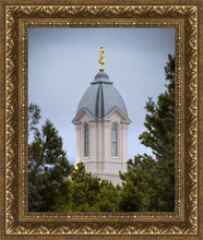 Load image into Gallery viewer, Cedar City Detail
