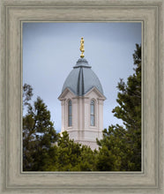 Load image into Gallery viewer, Cedar City Detail
