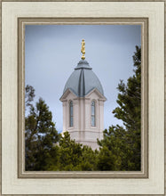 Load image into Gallery viewer, Cedar City Detail
