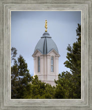Load image into Gallery viewer, Cedar City Detail
