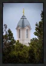 Load image into Gallery viewer, Cedar City Detail Gallery Wrap
