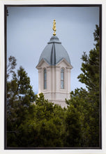 Load image into Gallery viewer, Cedar City Detail Gallery Wrap
