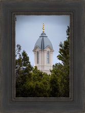 Load image into Gallery viewer, Cedar City Detail
