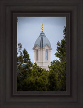 Load image into Gallery viewer, Cedar City Detail
