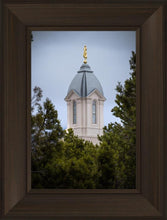 Load image into Gallery viewer, Cedar City Detail

