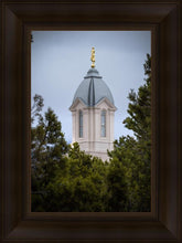 Load image into Gallery viewer, Cedar City Detail
