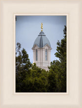 Load image into Gallery viewer, Cedar City Detail
