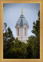 Load image into Gallery viewer, Cedar City Detail
