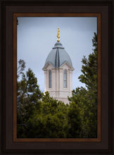 Load image into Gallery viewer, Cedar City Detail
