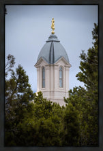Load image into Gallery viewer, Cedar City Detail Gallery Wrap

