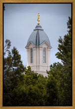 Load image into Gallery viewer, Cedar City Detail Gallery Wrap
