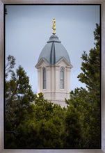 Load image into Gallery viewer, Cedar City Detail Gallery Wrap
