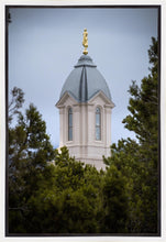 Load image into Gallery viewer, Cedar City Detail Gallery Wrap
