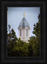 Load image into Gallery viewer, Cedar City Detail
