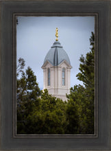 Load image into Gallery viewer, Cedar City Detail
