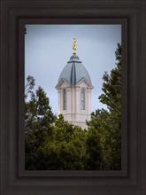 Load image into Gallery viewer, Cedar City Detail
