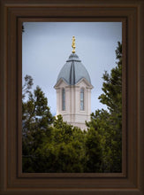 Load image into Gallery viewer, Cedar City Detail
