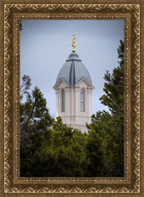 Load image into Gallery viewer, Cedar City Detail
