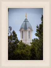 Load image into Gallery viewer, Cedar City Detail
