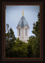 Load image into Gallery viewer, Cedar City Detail
