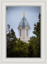Load image into Gallery viewer, Cedar City Detail
