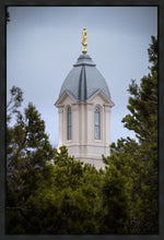 Load image into Gallery viewer, Cedar City Detail Gallery Wrap
