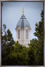 Load image into Gallery viewer, Cedar City Detail Gallery Wrap
