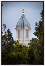 Load image into Gallery viewer, Cedar City Detail Gallery Wrap
