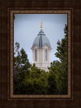 Load image into Gallery viewer, Cedar City Detail
