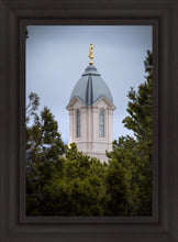 Load image into Gallery viewer, Cedar City Detail
