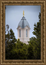 Load image into Gallery viewer, Cedar City Detail
