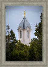 Load image into Gallery viewer, Cedar City Detail
