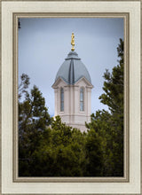 Load image into Gallery viewer, Cedar City Detail
