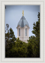 Load image into Gallery viewer, Cedar City Detail
