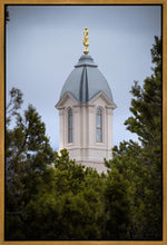 Load image into Gallery viewer, Cedar City Detail Gallery Wrap
