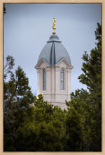Load image into Gallery viewer, Cedar City Detail Gallery Wrap
