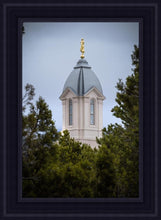 Load image into Gallery viewer, Cedar City Detail
