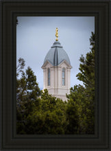 Load image into Gallery viewer, Cedar City Detail
