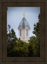 Load image into Gallery viewer, Cedar City Detail
