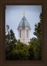 Load image into Gallery viewer, Cedar City Detail
