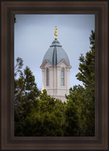 Load image into Gallery viewer, Cedar City Detail
