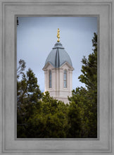 Load image into Gallery viewer, Cedar City Detail
