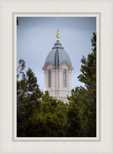 Load image into Gallery viewer, Cedar City Detail
