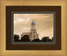 Load image into Gallery viewer, Cedar City Golden Sunshine

