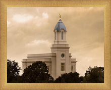 Load image into Gallery viewer, Cedar City Golden Sunshine
